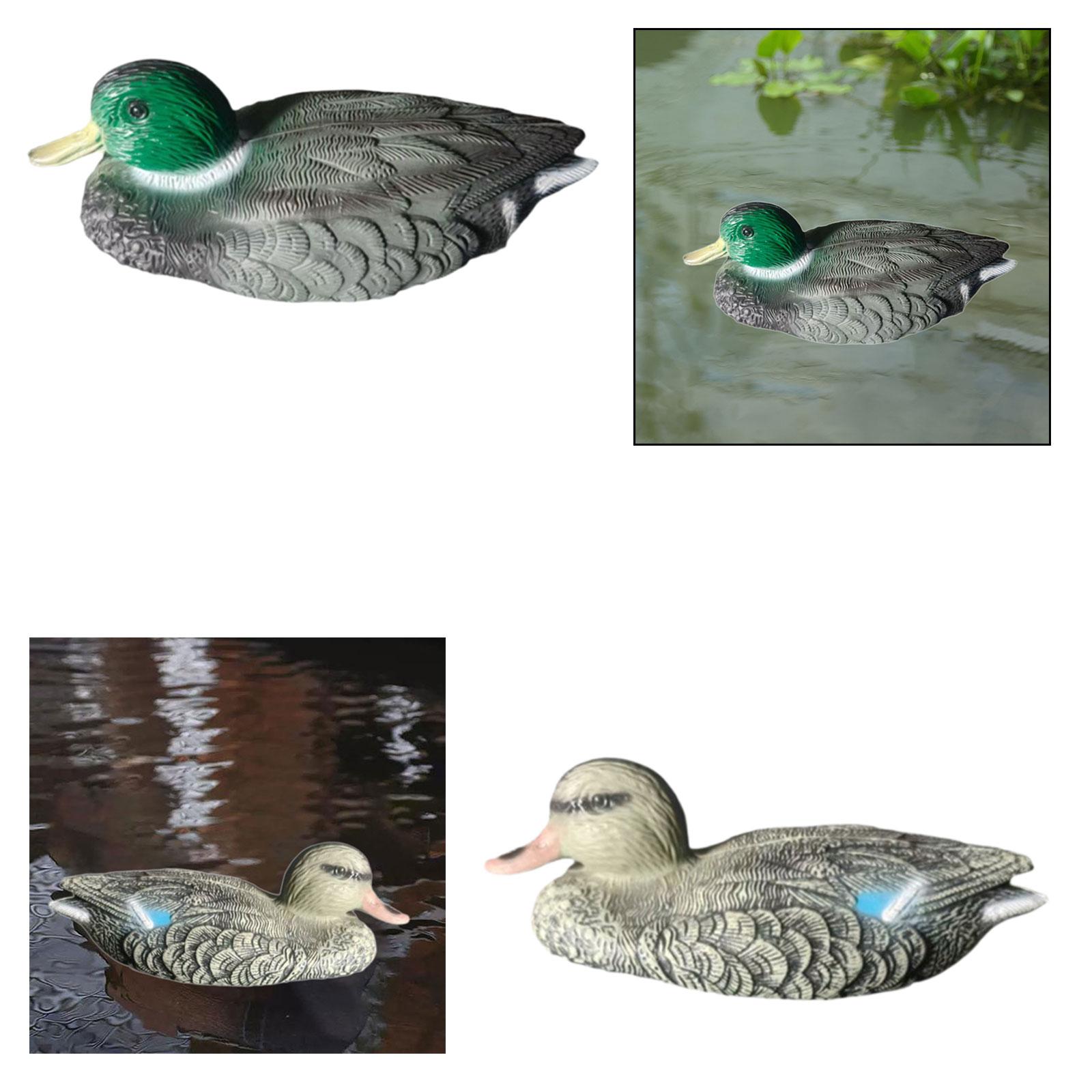 Floating Duck Decoy Realistic  - Outdoor Hunting Place avis et prix