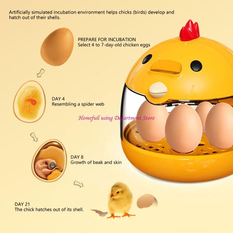 5 Eggs Quail Bird Incubator Ha - Hunting Quail avis et prix