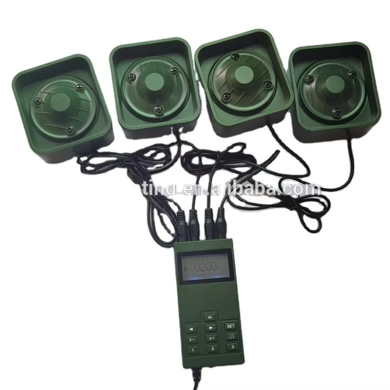 New Electronic Plastic Wild Bi - Hunting Quail avis et prix