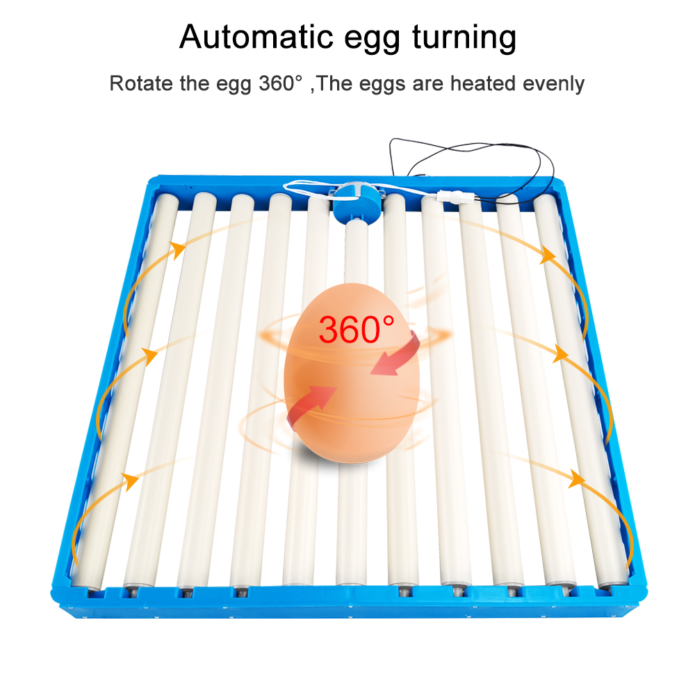 70 Eggs Incubator Automatic 36 - Hunting Quail avis et prix