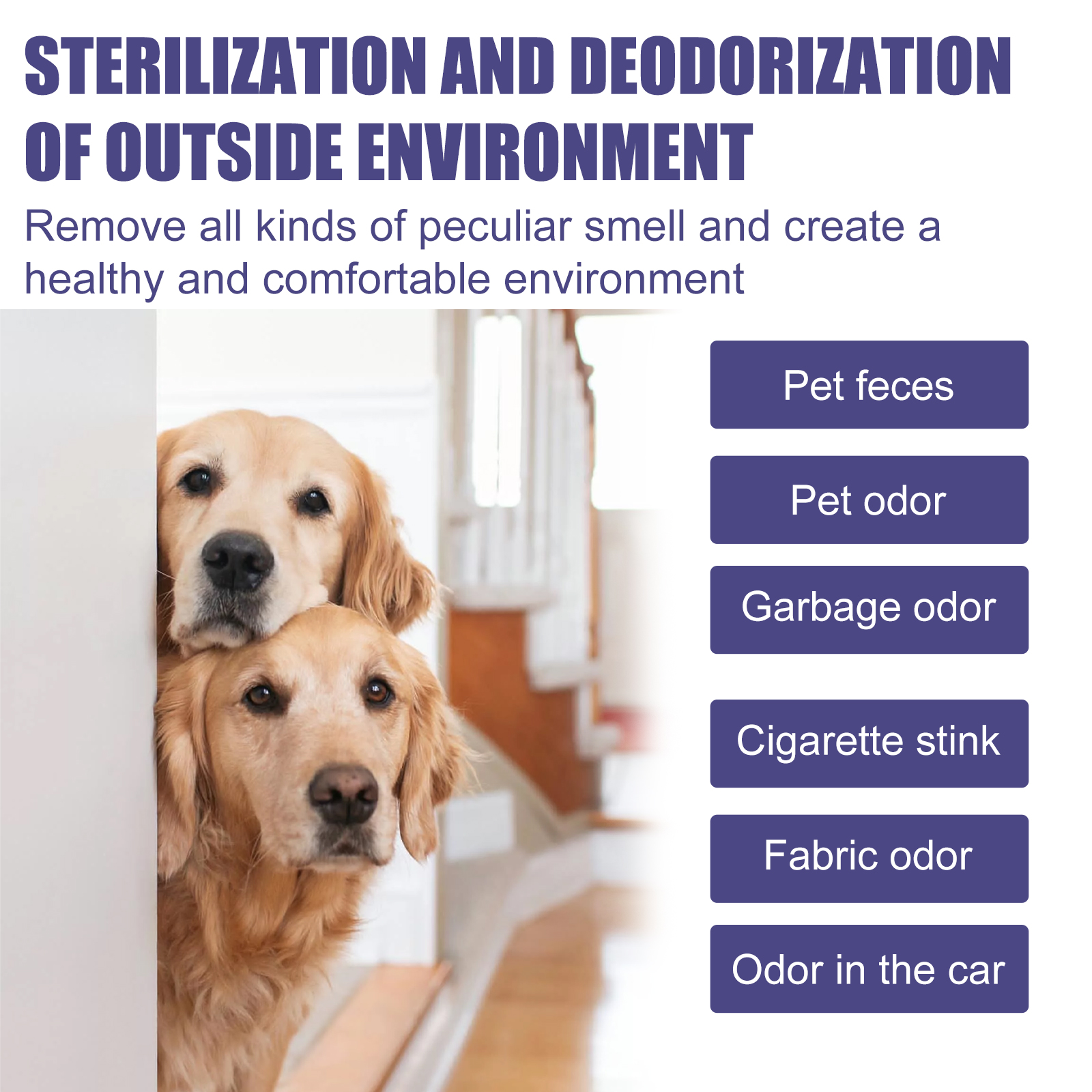 Pet Deodorant Spray Bacteria I - Scent Eliminator Spray avis et prix
