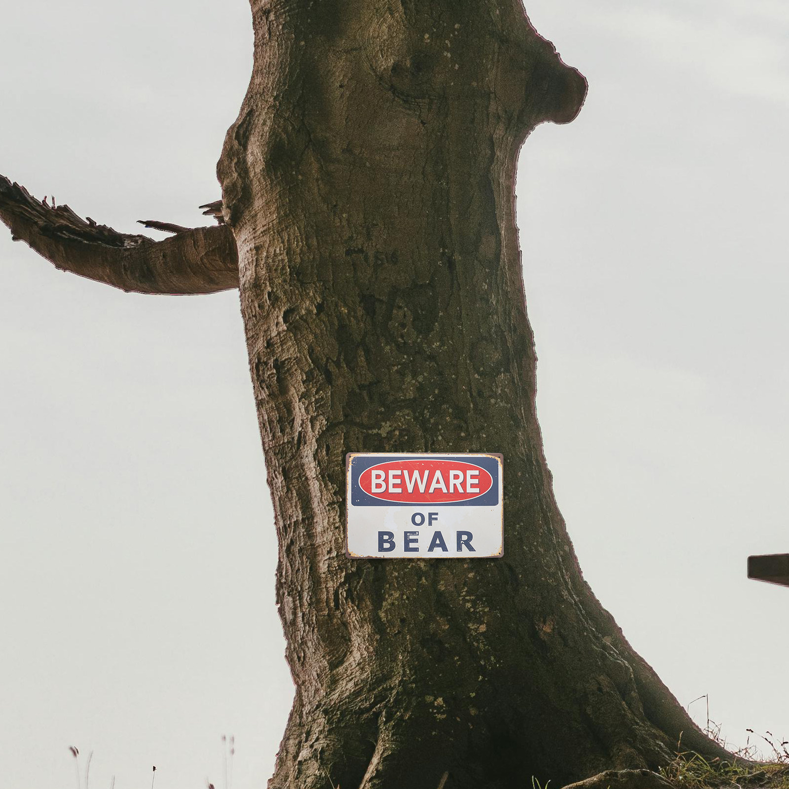 Bear Warning Iron Sign Vintage - Outdoor Hunting Paintings avis et prix